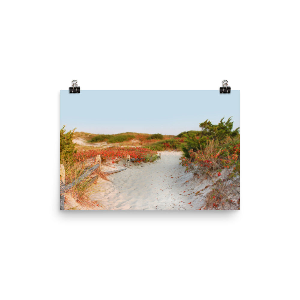 Image of Transition to Autumn mixed media art print on 12 inch by 18 inch enhanced matte photo paper by Jessica St. Clair depicting a fall beach scene with a sandy path through the dunes lined with leaves turning red