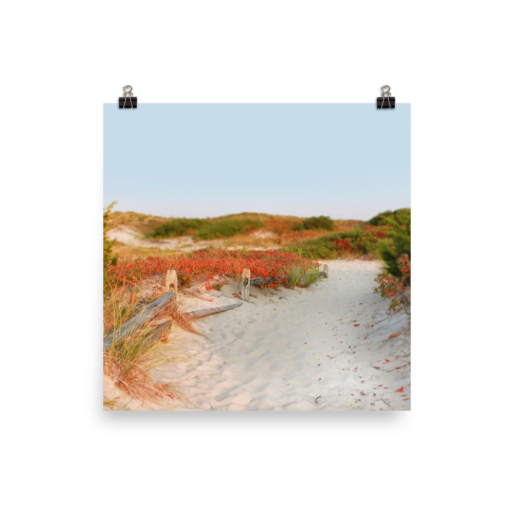 Image of Transition to Autumn mixed media art print on 14 inch by 14 inch enhanced matte photo paper by Jessica St. Clair depicting a fall beach scene with a sandy path through the dunes lined with leaves turning red